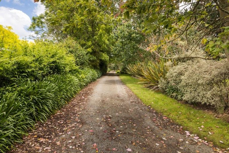Photo of property in 659 Ashhurst Road, Ashhurst, Palmerston North, 4470