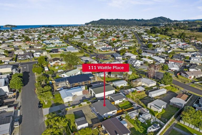 Photo of property in 111 Wattle Place, Whangamata, 3620