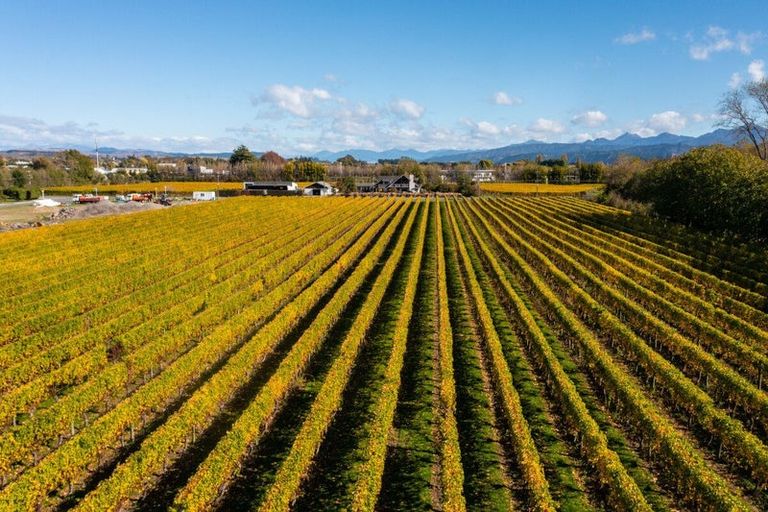 Photo of property in 5 Brook Street, Renwick, 7204