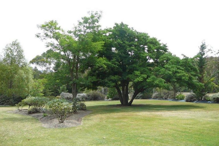 Photo of property in 56 Springvale Road, Clyde, Alexandra, 9391