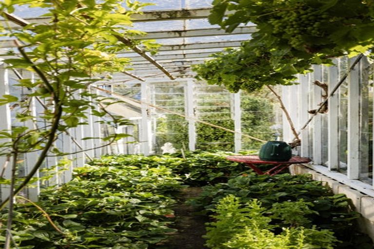 Photo of property in 4 District Road, Roseneath, Port Chalmers, 9023