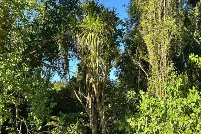 Photo of property in 70 Te Whanga Road, Levin, 5572