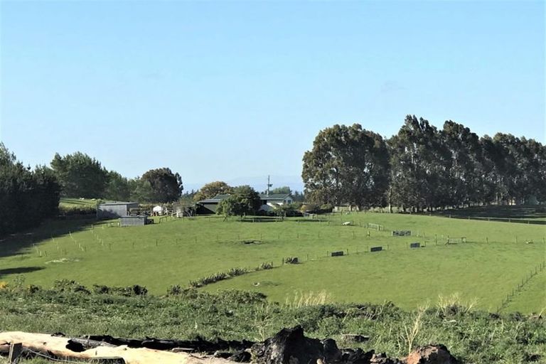 Photo of property in 86 Totara Island Road, Clifton, Balclutha, 9273