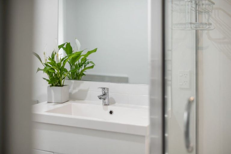 Photo of property in 14 Branca Close, Fitzroy, Hamilton, 3206