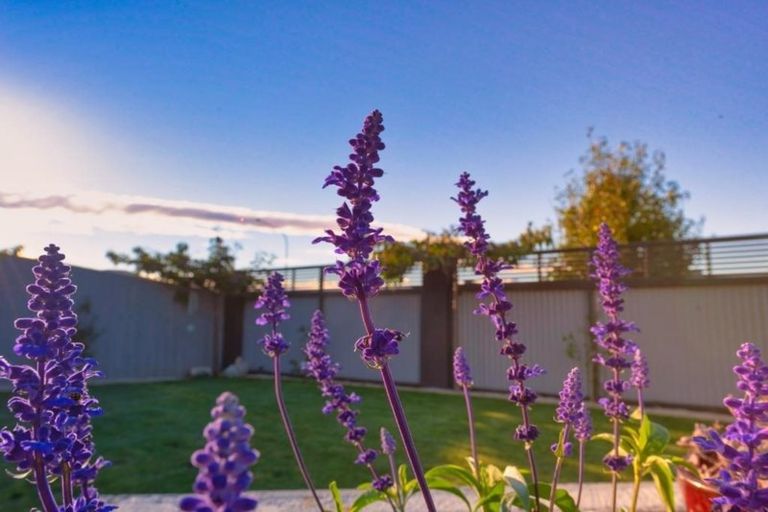 Photo of property in 3 Tana Pukekohatu Avenue, Motueka, 7120