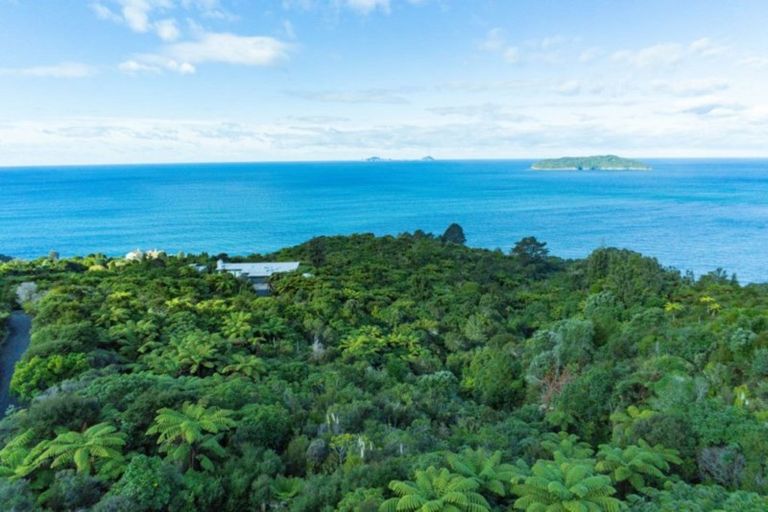 Photo of property in 180 Pumpkin Hill Road, Pumpkin Hill, Whitianga, 3591