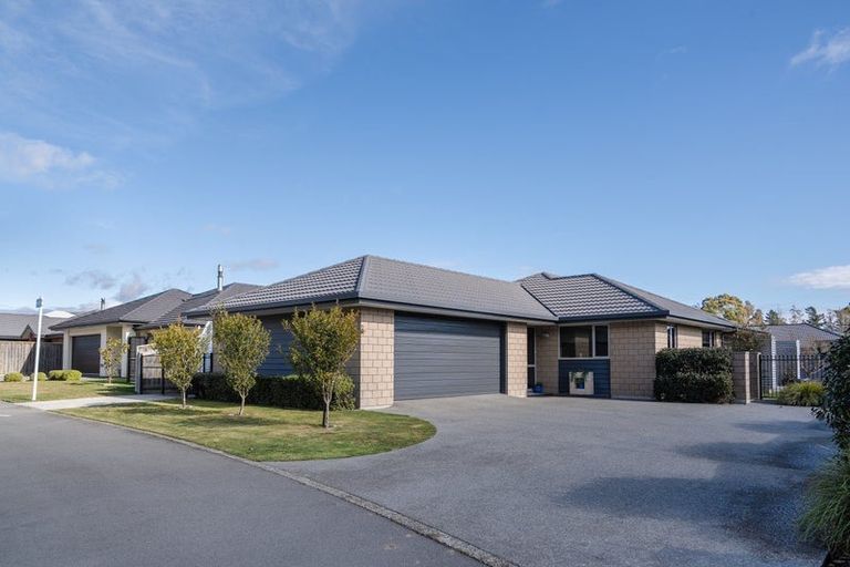 Photo of property in 200 Taylor Pass Road, Witherlea, Blenheim, 7201