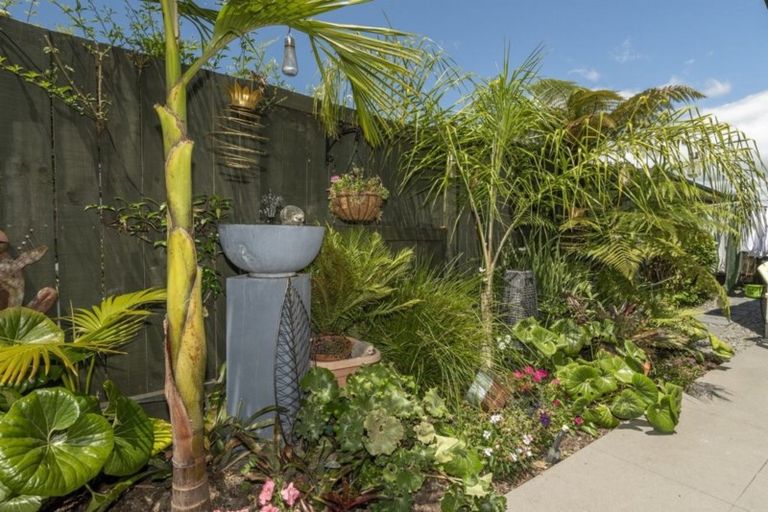 Photo of property in 20 Saint Pauls Drive, Brookfield, Tauranga, 3110