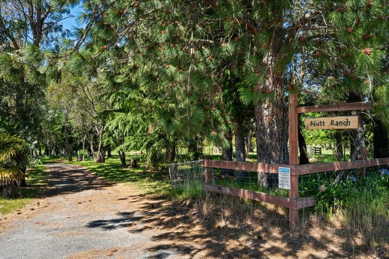 Photo of property in 191 Tyntesfield Road, Waihopai Valley, Blenheim, 7276