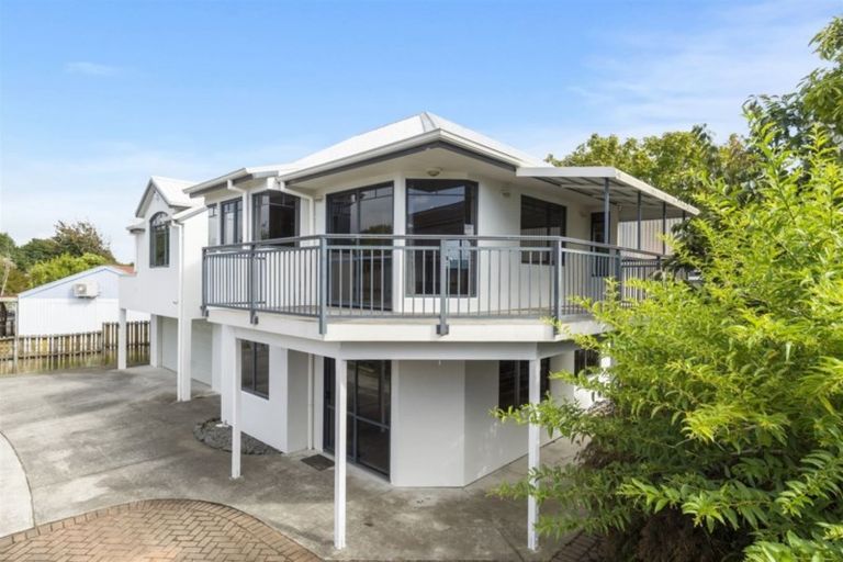 Photo of property in 25 Tanner Street, Tauranga South, Tauranga, 3112