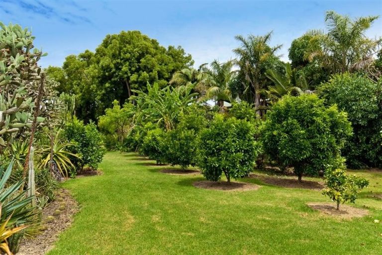 Photo of property in 166a Rimmer Road, Helensville, 0875