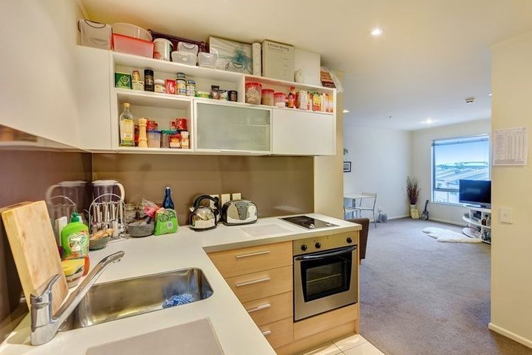 Photo of property in Luna Apartments, 1n/16 Burton Street, Grafton, Auckland, 1010