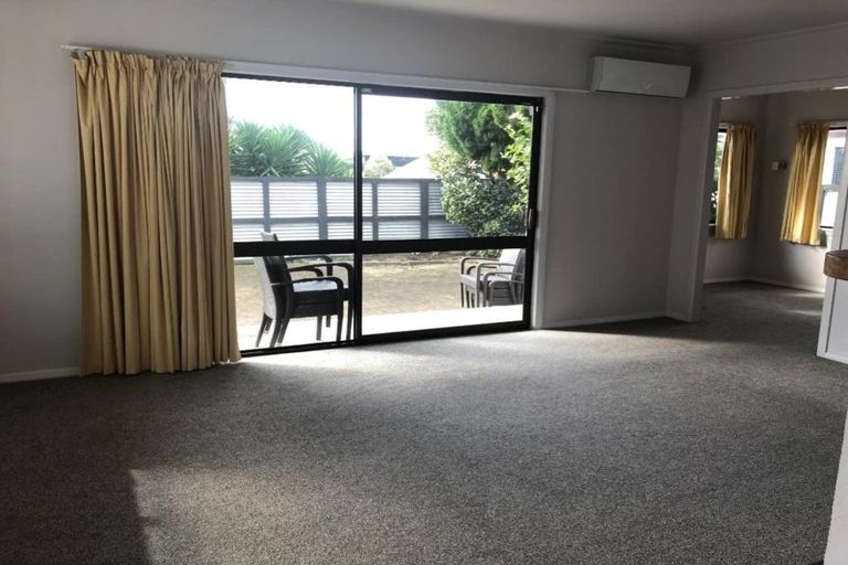 Photo of property in 60a Campbell Road, Mount Maunganui, 3116