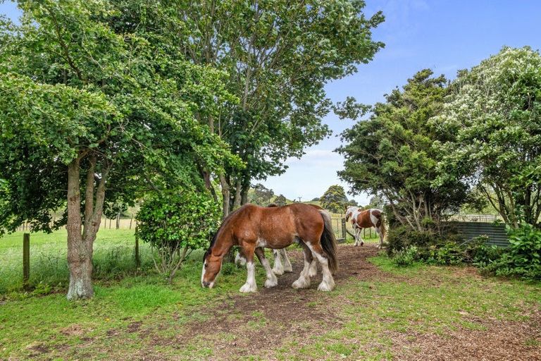 Photo of property in 965 Koputaroa Road, Koputaroa, Levin, 5575