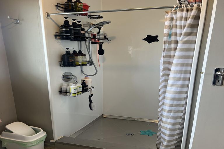 Photo of property in 3 Williams Place, Fairfield, Hamilton, 3214