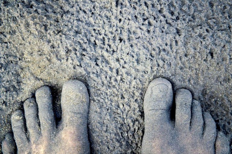 Photo of property in 29 Wells Place, Whitianga, 3510