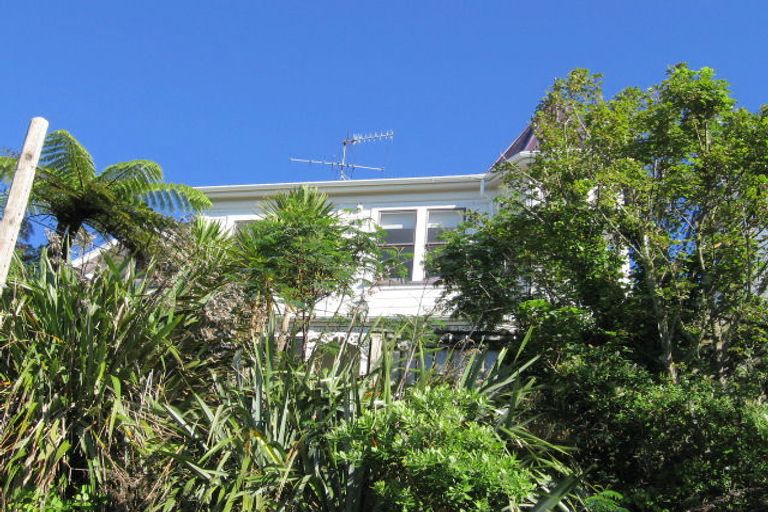 Photo of property in 118 Kelburn Parade, Kelburn, Wellington, 6012