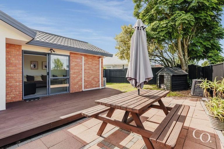 Photo of property in 41 Francevic Avenue, Mount Maunganui, 3116