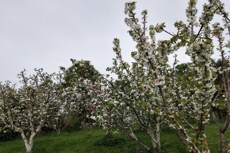 Photo of property in 13 Edievale Road, Edievale, Tapanui, 9587