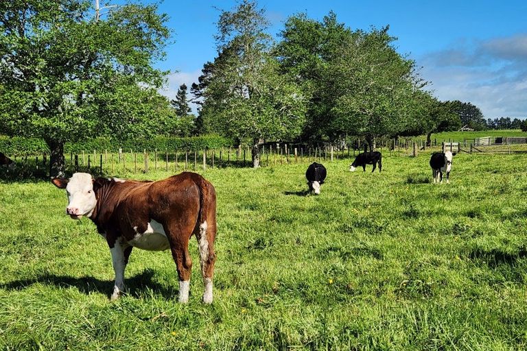 Photo of property in 404 Bristol Road, Everett Park, Inglewood, 4388