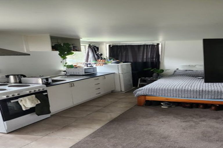 Photo of property in 164a Hanson Street, Newtown, Wellington, 6021