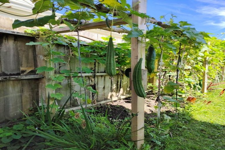 Photo of property in 55 Williamson Avenue, Belmont, Auckland, 0622