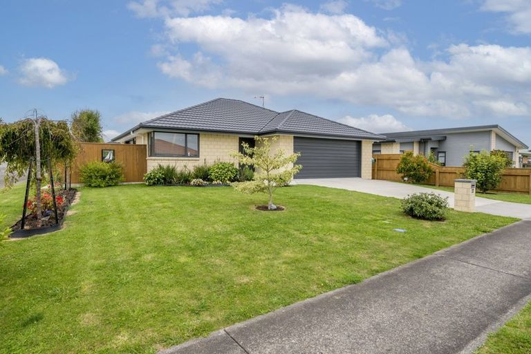 Photo of property in 22 Barry Curtis Place, Levin, 5510