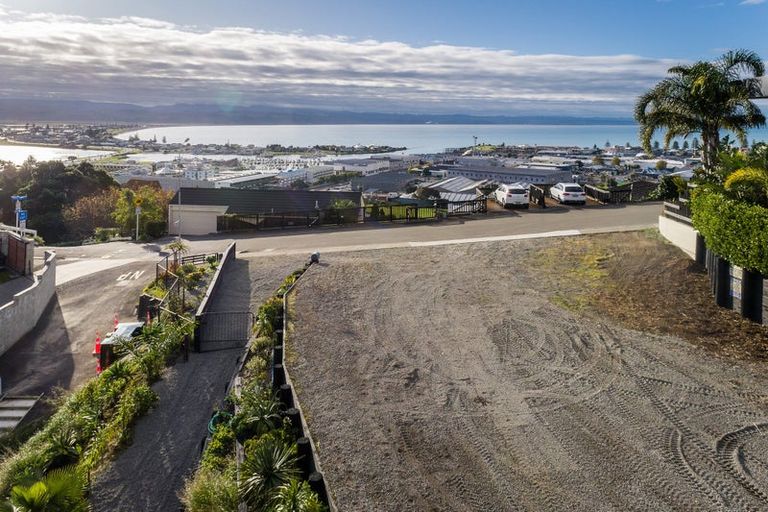 Photo of property in 31 Hospital Terrace, Hospital Hill, Napier, 4110