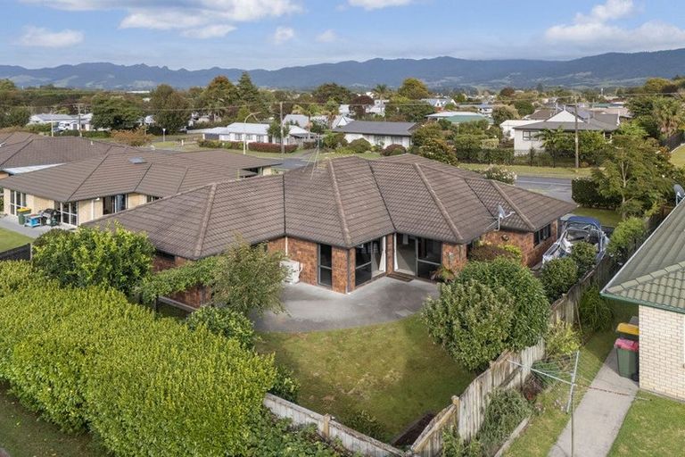 Photo of property in 51 Wills Road, Katikati, 3129