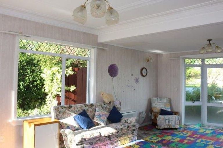 Photo of property in 111 Tarbert Street, Alexandra, 9320