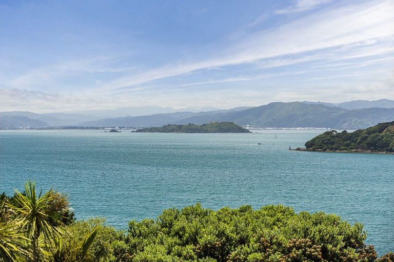 Photo of property in 139 Grafton Road, Roseneath, Wellington, 6011