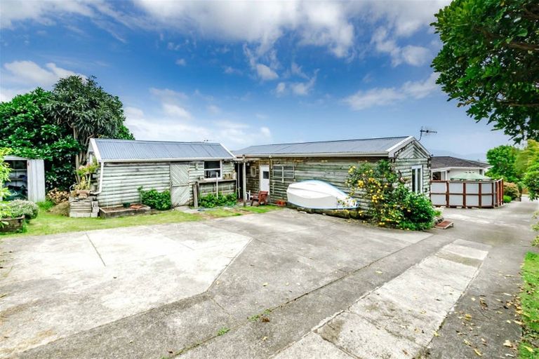 Photo of property in 57 Winara Avenue, Waikanae, 5036