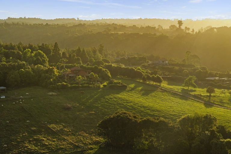 Photo of property in 236a Tim Road, Whakamarama, Tauranga, 3180