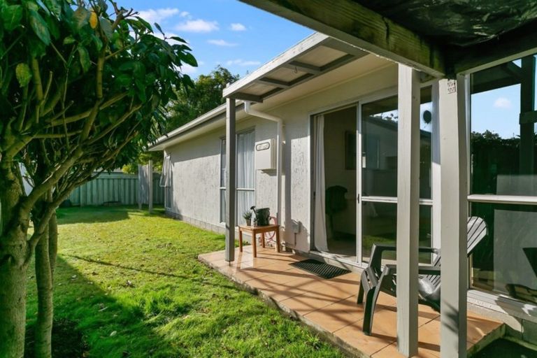 Photo of property in 66l Queen Street, Cambridge, 3434