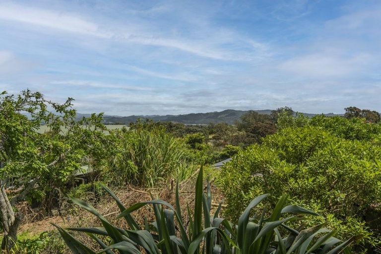 Photo of property in 1149 Purangi Road, Ferry Landing, Whitianga, 3591