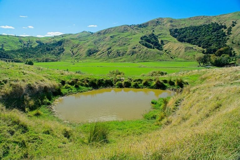 Photo of property in 1215 Wharekopae Road, Ngatapa, Gisborne, 4072