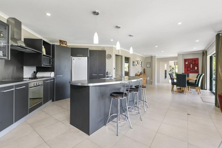 Photo of property in 565 Omanawa Road, Omanawa, Tauranga, 3171