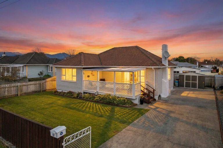 Photo of property in 12 Saint Annes Street, Levin, 5510