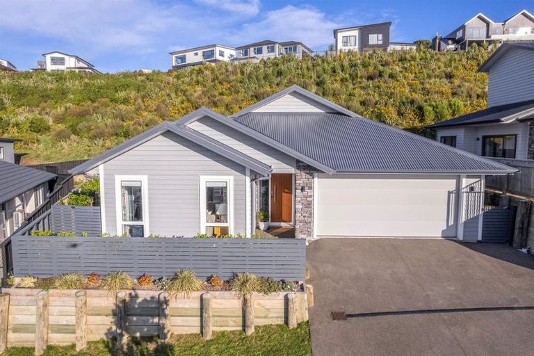 Photo of property in 45 Ken Douglas Drive, Aotea, Porirua, 5024