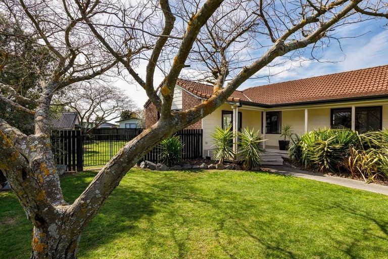 Photo of property in 6 Rata Place, Witherlea, Blenheim, 7201