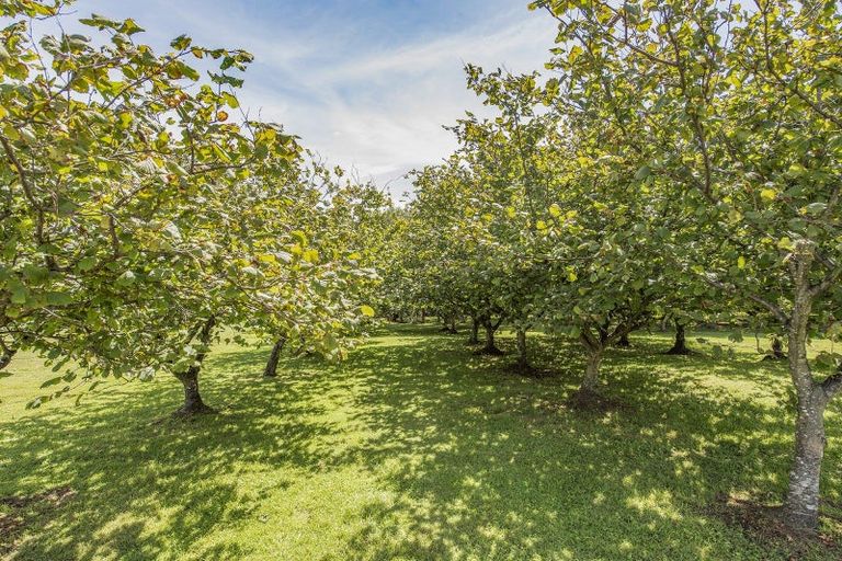 Photo of property in 32 Hadfield Road, Peka Peka, Waikanae, 5391