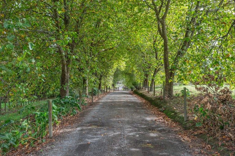 Photo of property in 73 Wakefield Road, Levin, 5571