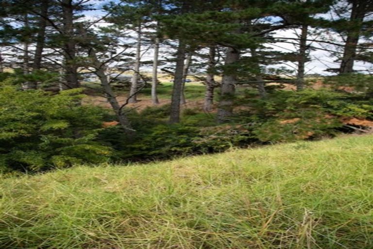 Photo of property in 23a Tamihana Avenue, Huntly, 3700