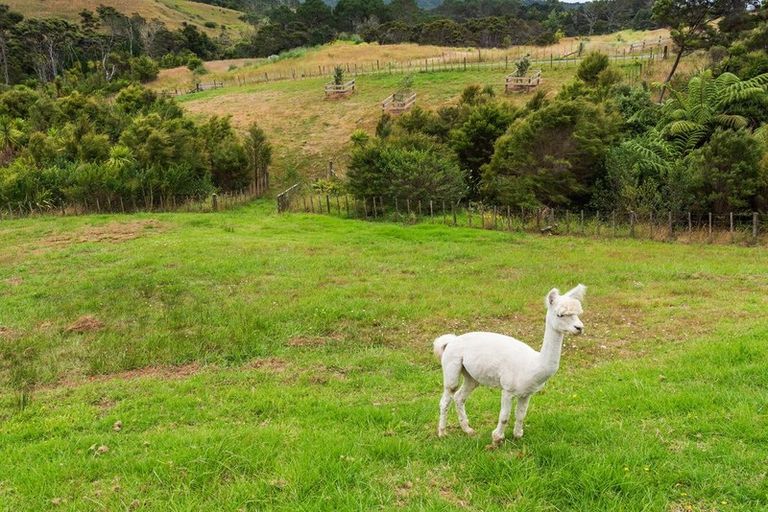 Photo of property in 45 Donaldson Drive, Coatesville, Albany, 0793