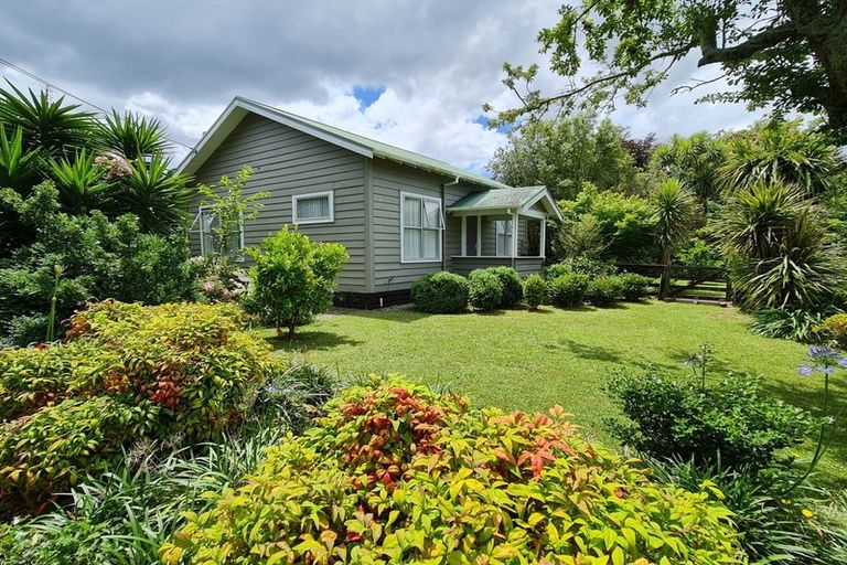 Photo of property in 68 Parry Palm Avenue, Waihi, 3610