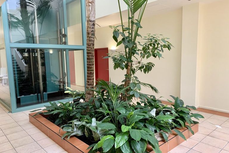 Photo of property in Mokoia Ridge, 1j/68 Mokoia Road, Birkenhead, Auckland, 0626