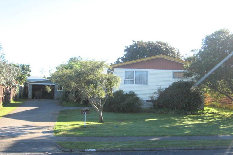 Photo of property in 12 Addington Avenue, Manurewa, Auckland, 2102