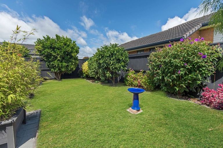 Photo of property in 19 Carrington Drive, Papamoa Beach, Papamoa, 3118
