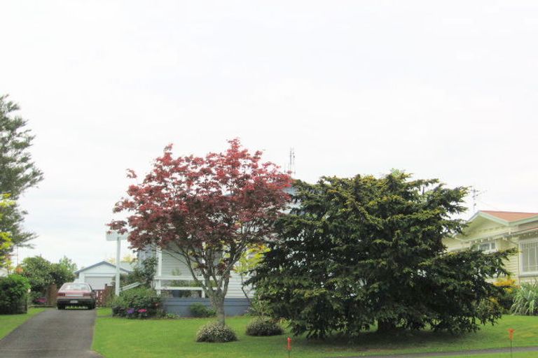 Photo of property in 6 Carlyle Street, Te Aroha, 3320