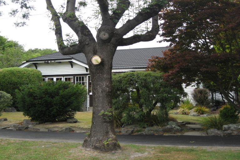 Photo of property in 100 Malvern Street, St Albans, Christchurch, 8014